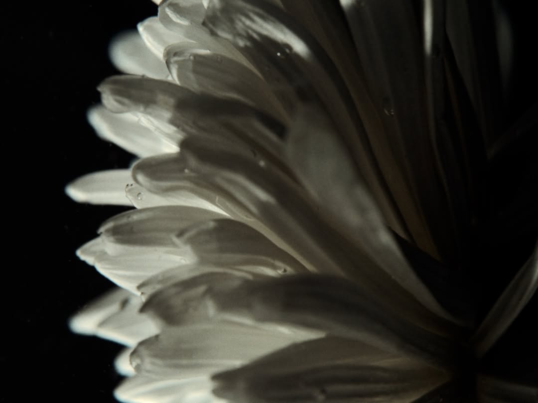 Givenchy Beauty |  Jan. 26