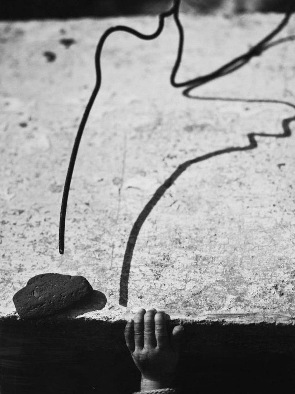 Libraryman |  Jun. 22