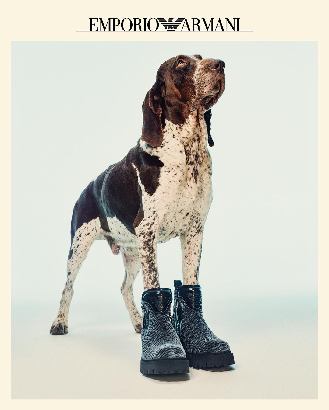 Emporio Armani |  Jun. 22