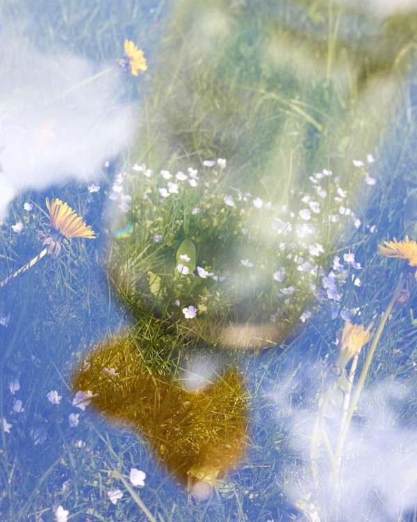 Kate Jackling