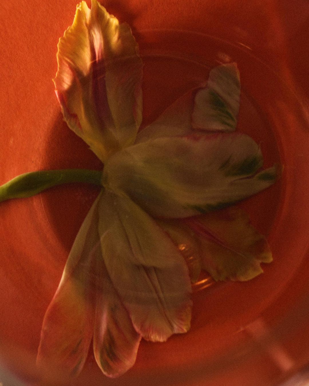 A Magazine Curated By |  Jan. 23