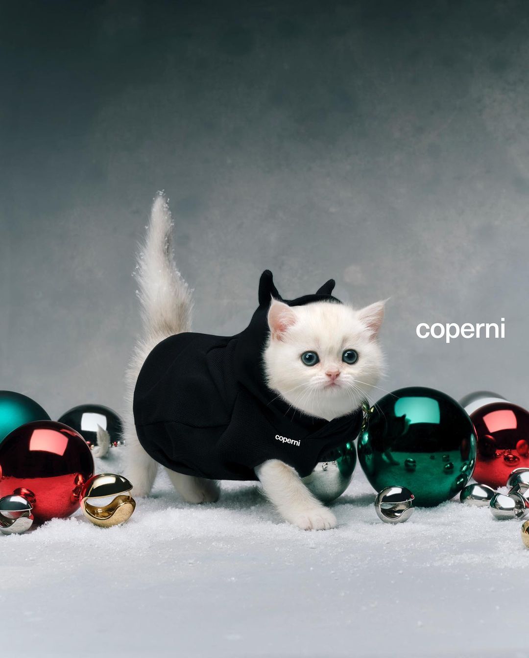 Coperni |  Dec. 23