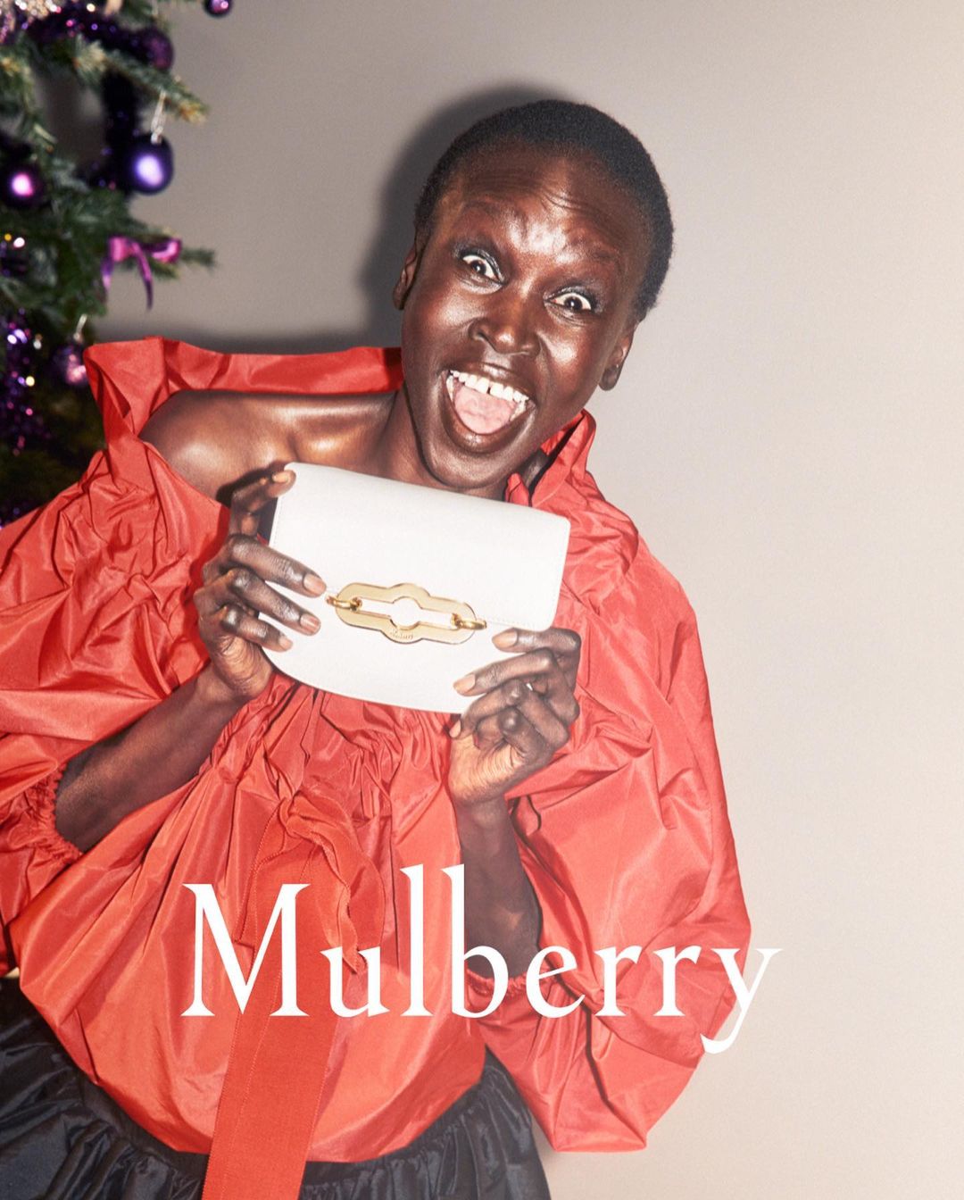Mulberry |  Dec. 23