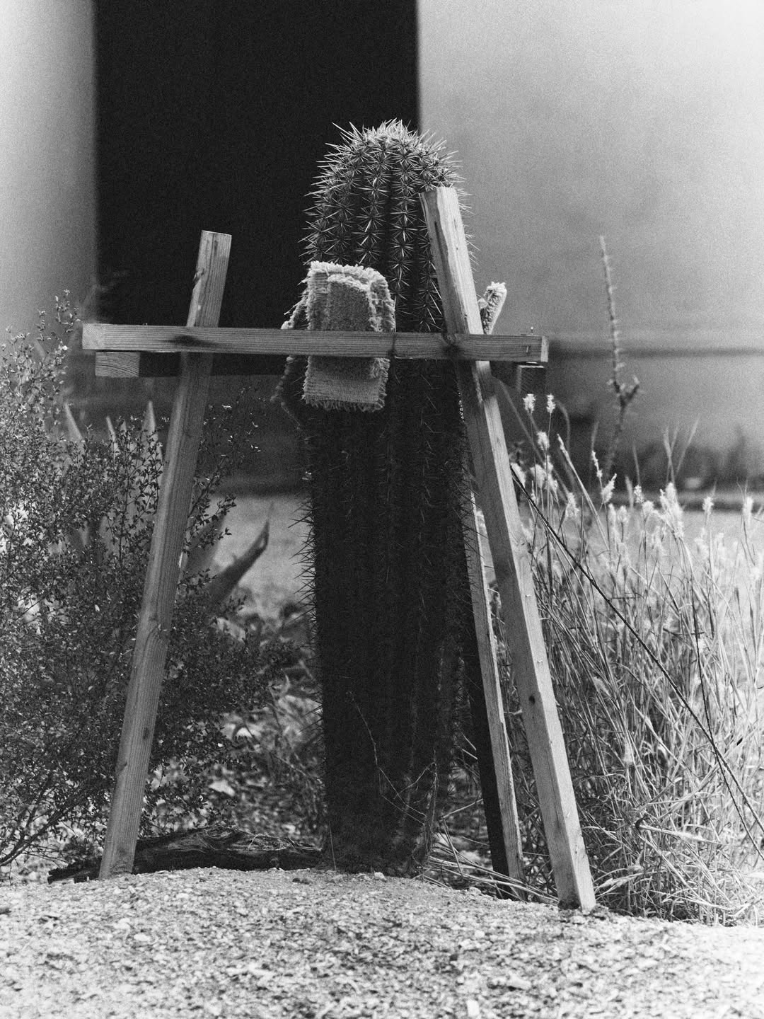 Annemarieke Van Drimmelen