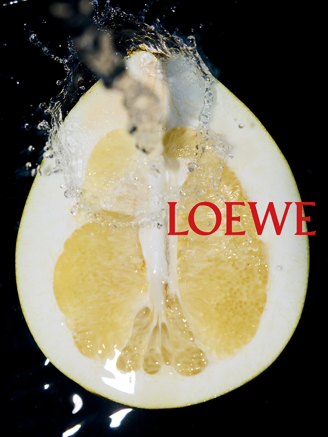 Joaquin Laguinge X LOEWE