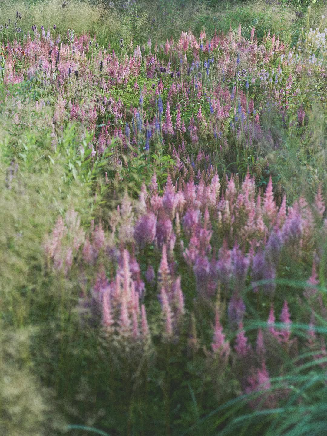 Holiday Interiors and Gardens |  Jun. 26