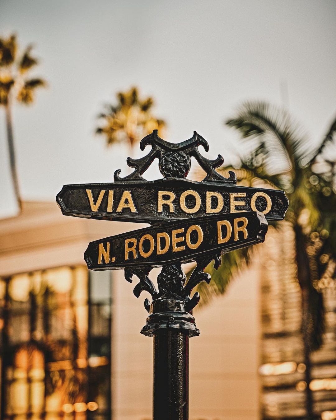 Beverly Hills |  Dec. 23