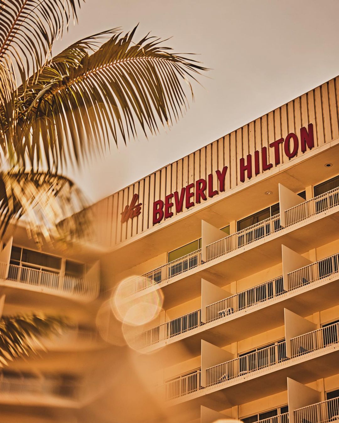 Beverly Hills |  Jan. 24