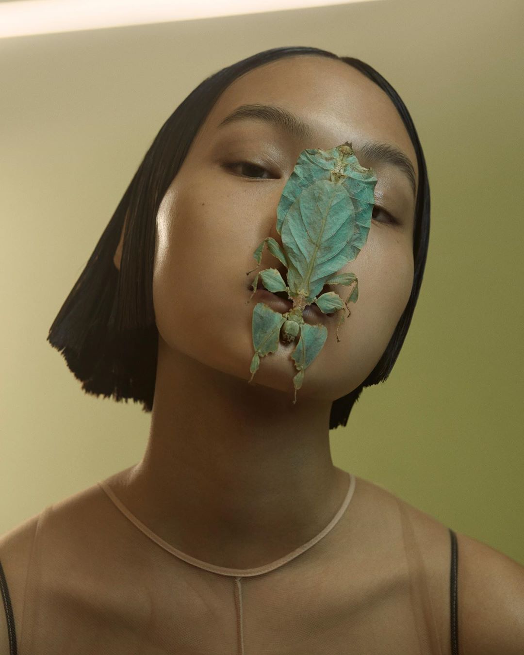 Numero Magazine |  Oct. 19