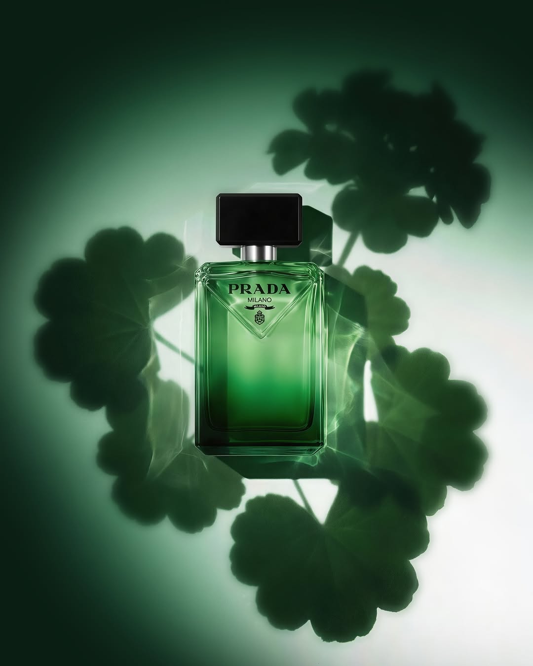 MCAS X Prada Feb. 26