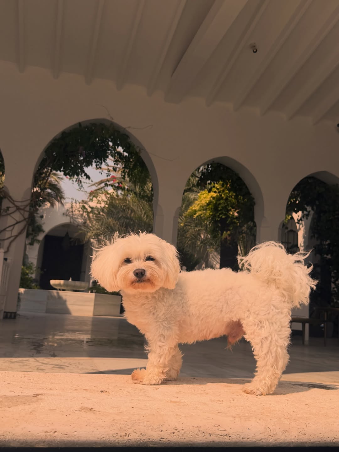 slider image