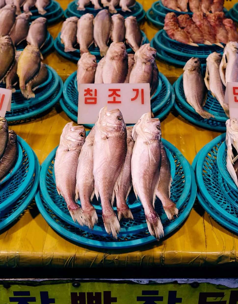 Leica Camera |  Mar. 26