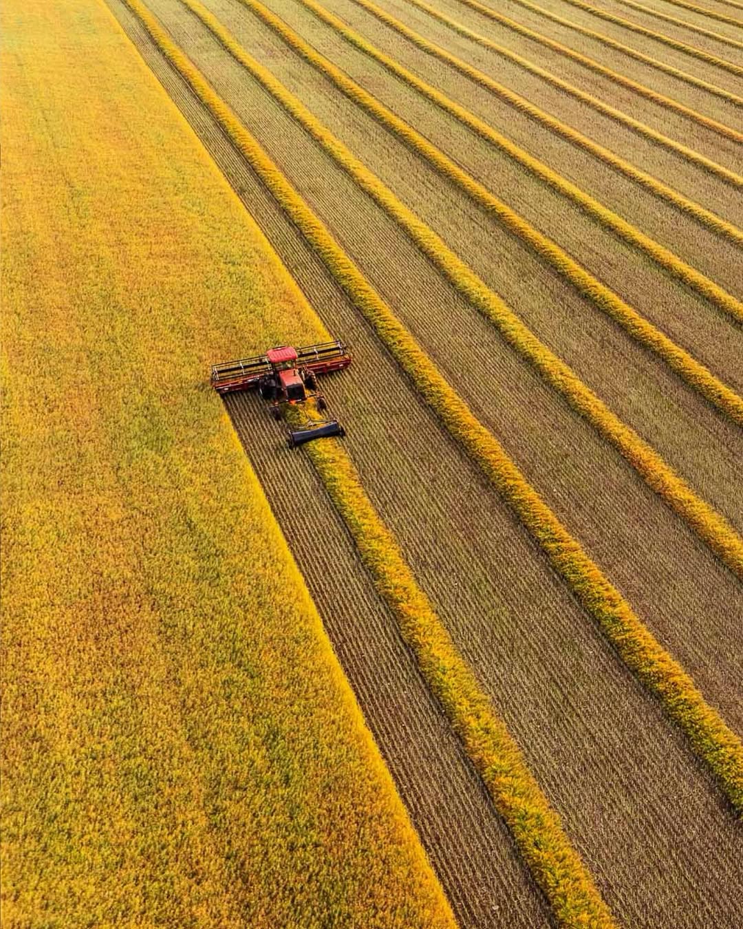 Michael Kunde X Favorite