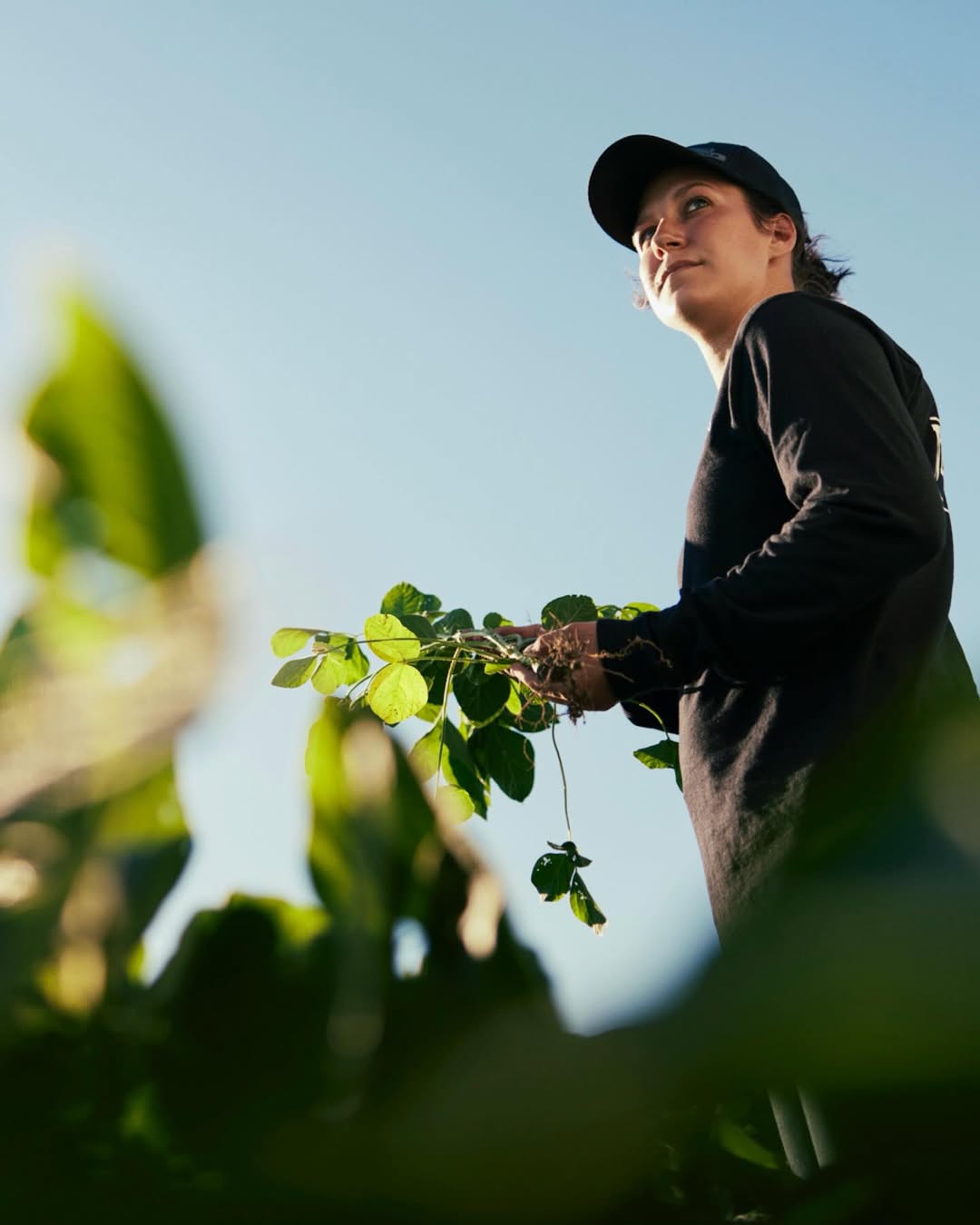 Michael Kunde X Favorite