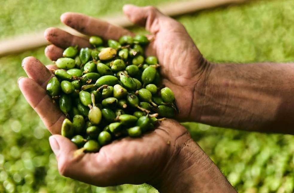 <a href="/michael-kunde">Michael Kunde</a> X Distance <span style="text-transform: none; white-space: nowrap;">Apr. 26</span>