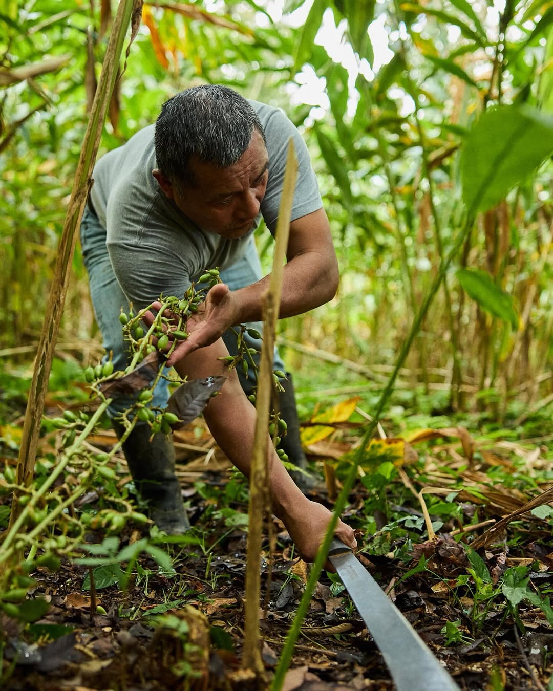 Michael Kunde X Distance