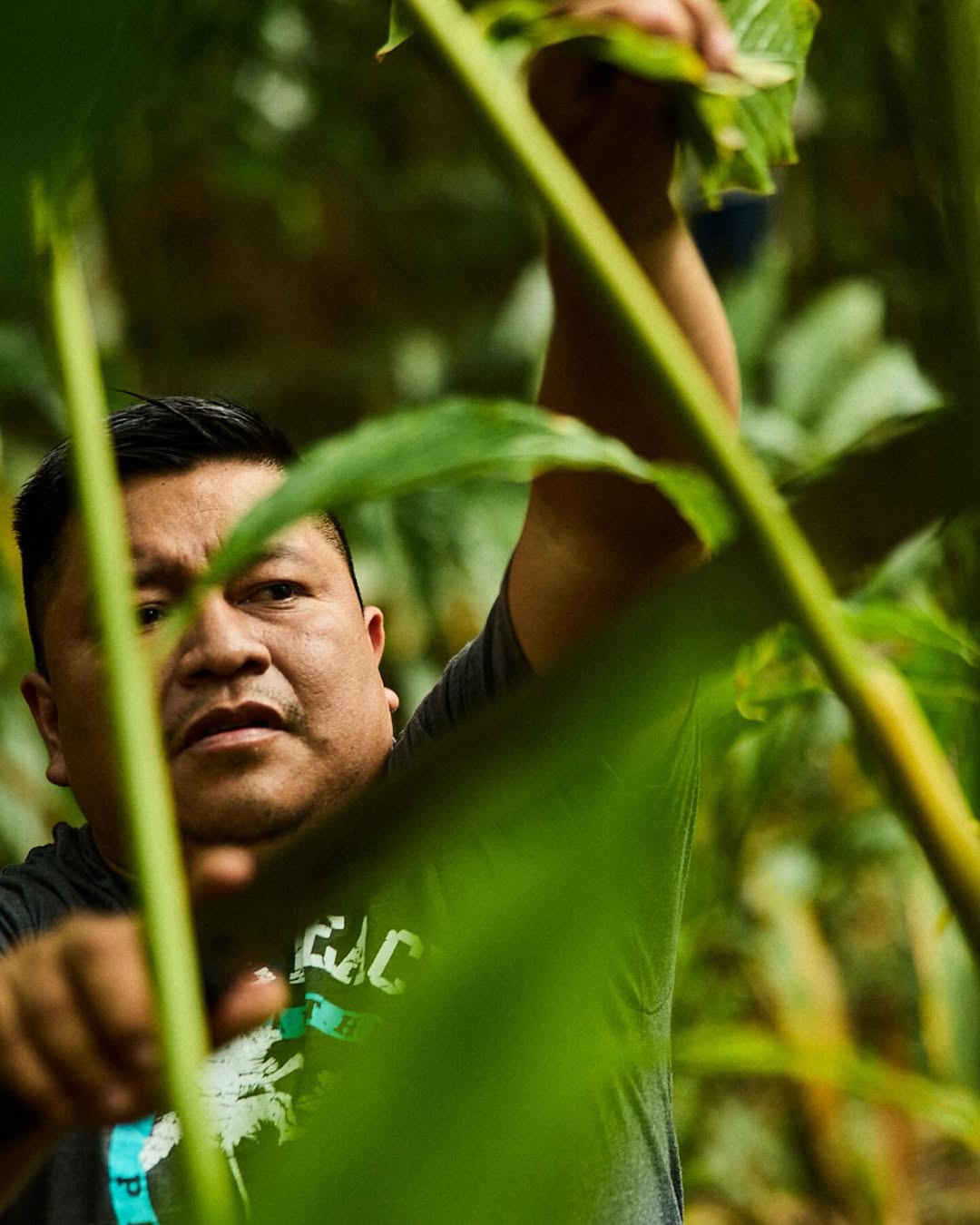 Michael Kunde X Distance