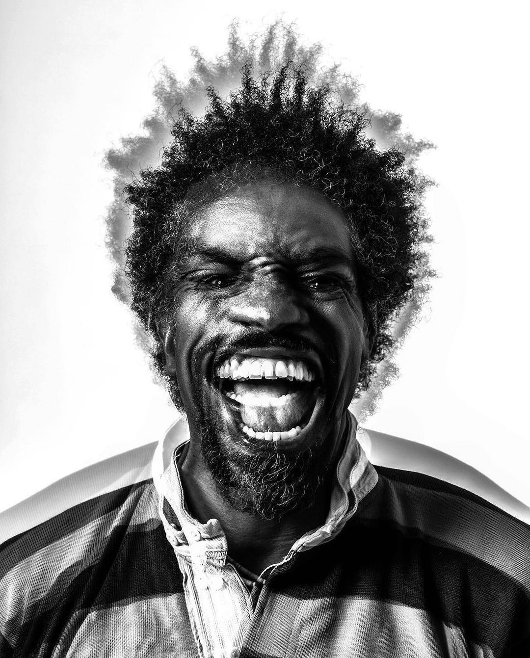Michael Avedon