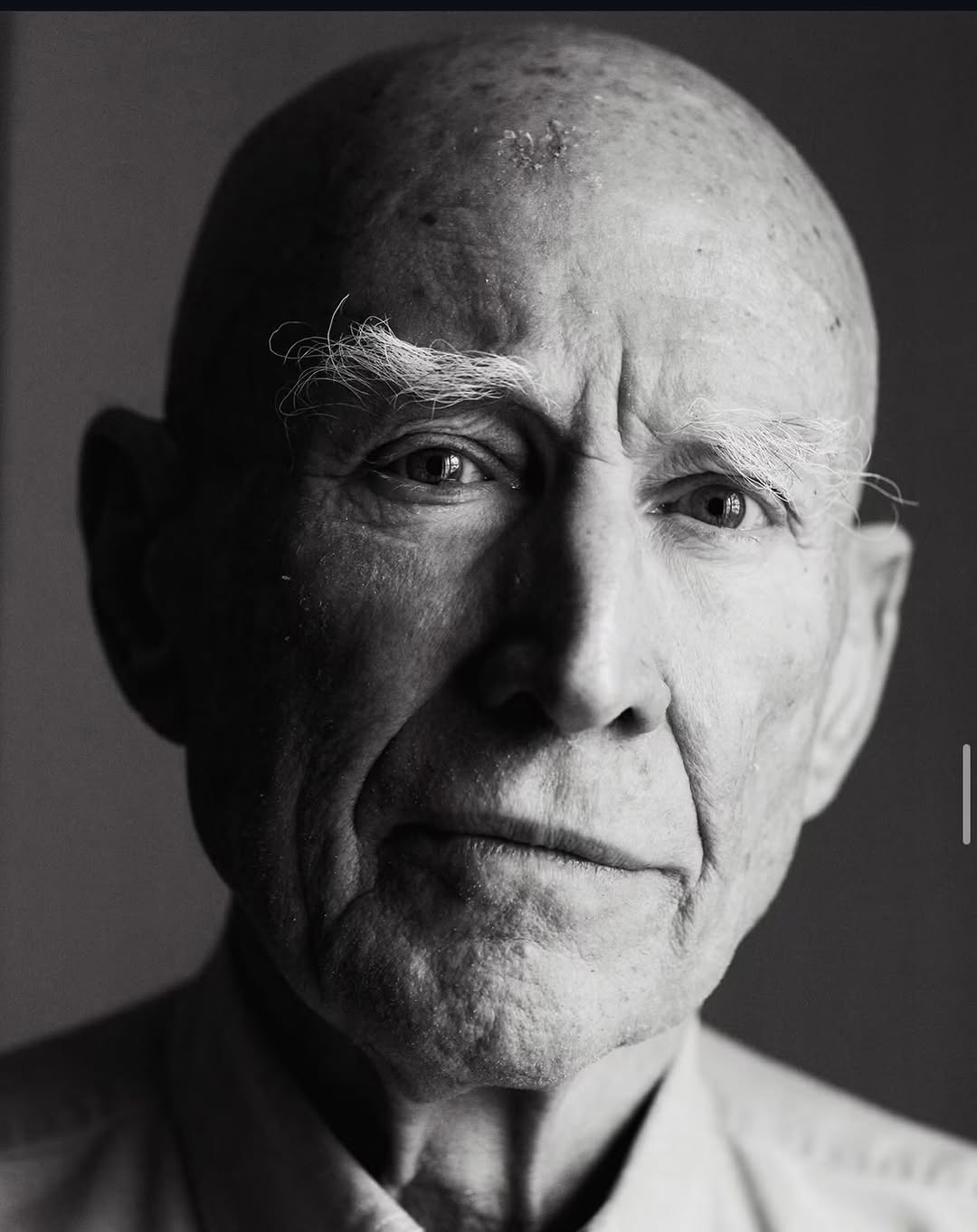 Michael Avedon