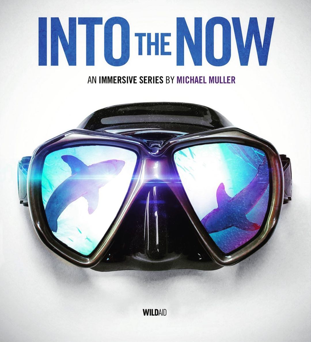 Into the Now |  Oct. 22