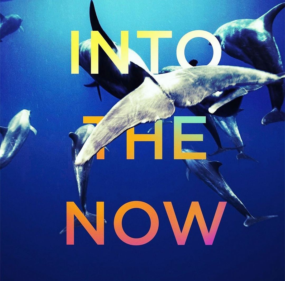 Into the Now |  Oct. 22