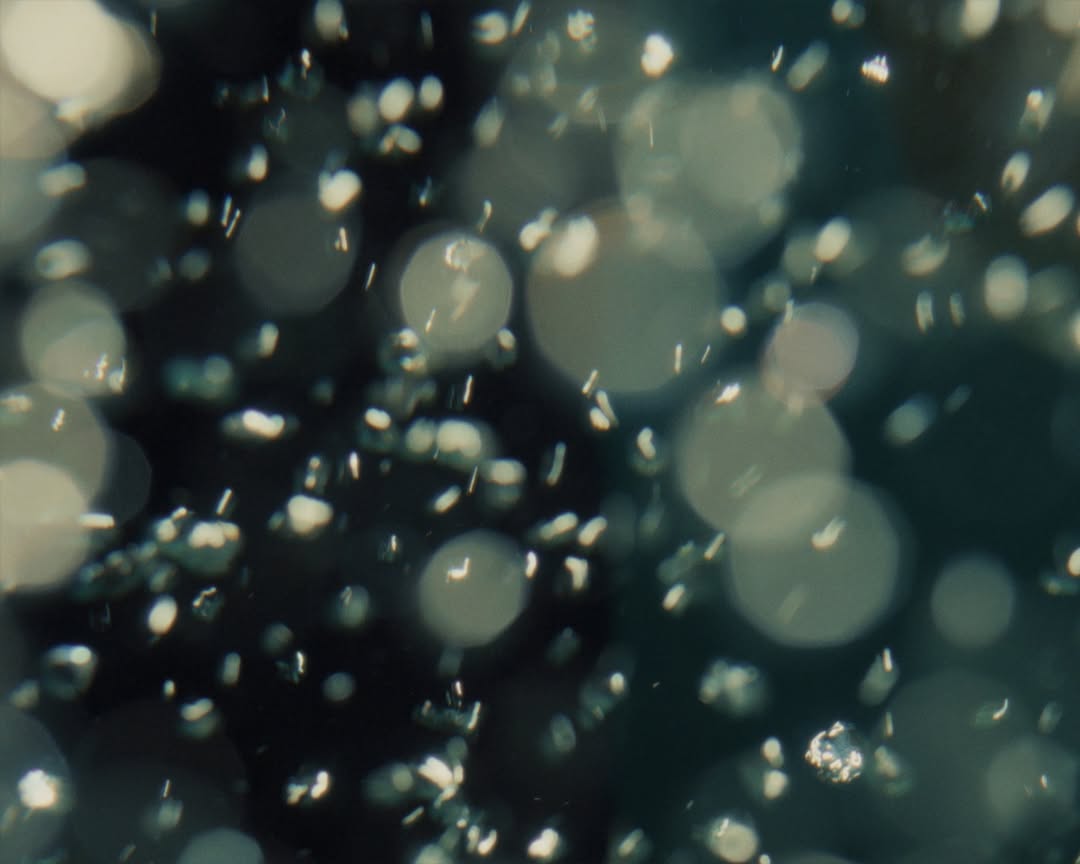 Mike Seehagel X Michael for Fairmont Chateau Lake Louise Dec. 25