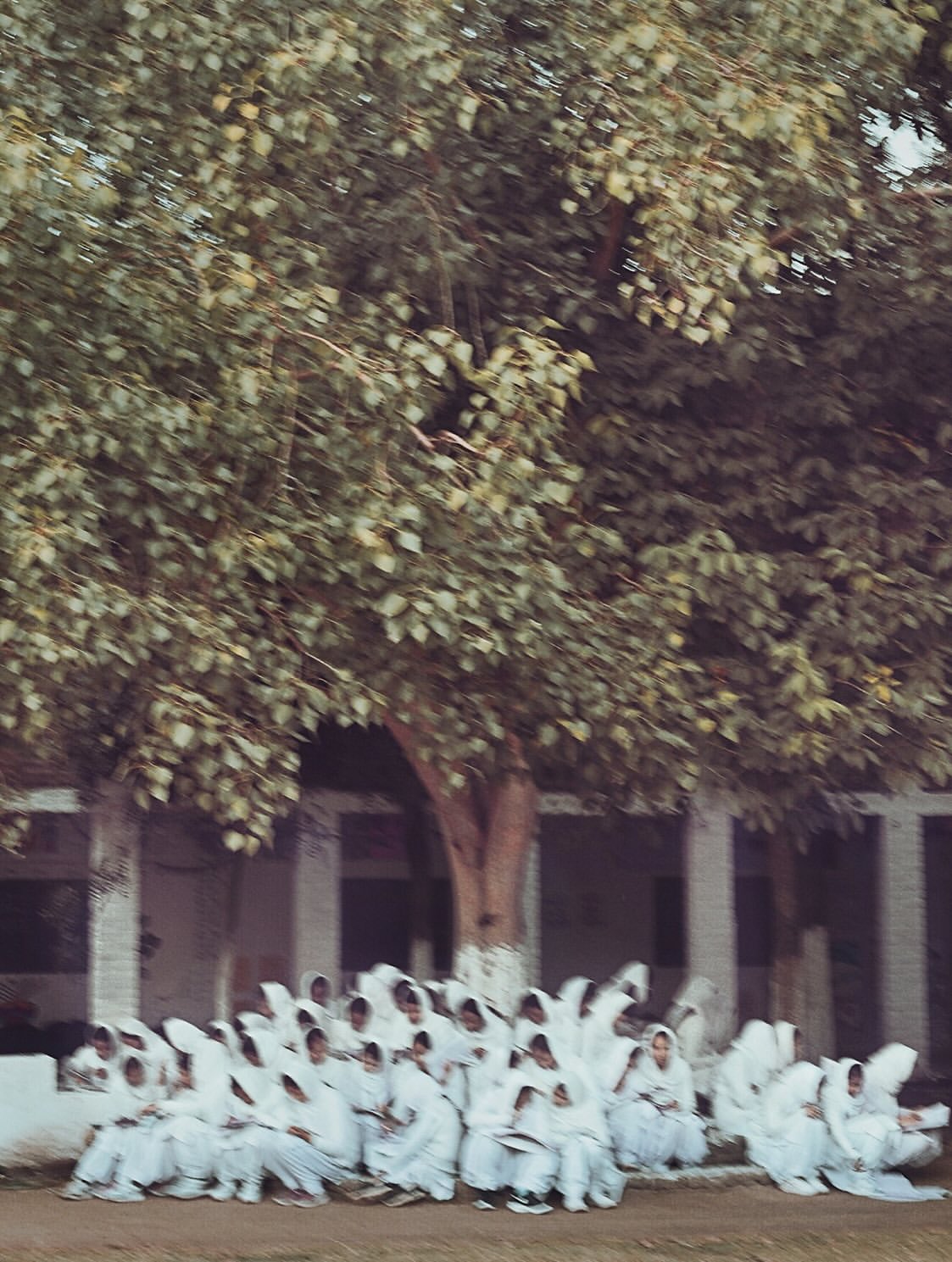 Over the years, from @avani.rai ‘s camera lens.

“I don’t chase faces or wait for light to behave. I carry my camera like a question- not to find answers, but to stay awake. Emotion, for me, isn’t in the smile; it’s in the way a curtain sighs, the stillness before rain, the tremble of a hand that never reaches out. The more I look, the more the world reveals its quiet ache. And the more it reveals, the more I need to look. Through the viewfinder, the world speaks in a language only silence understands. Without it, the thread breaks. So I photograph - everywhere, always, not to capture life, but to feel it speaking back.”