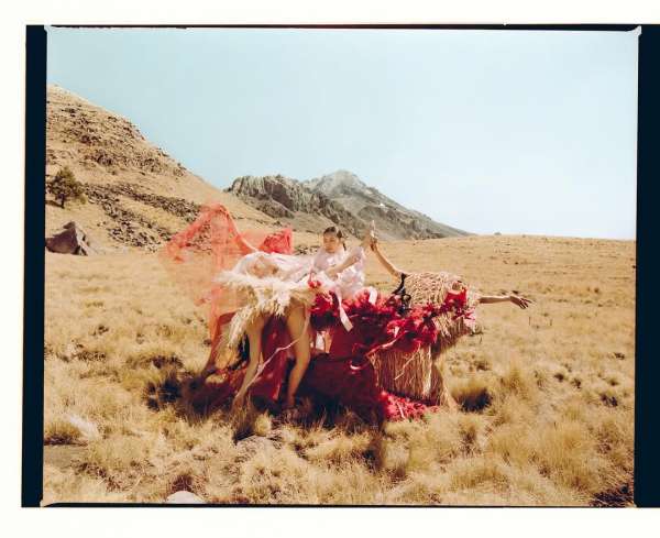 Shot over six months on medium-format (120)...