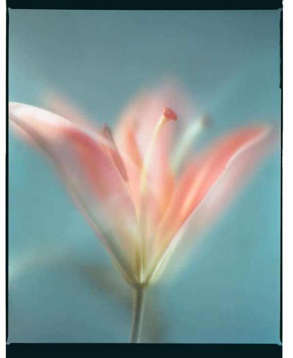 Shot over six months on medium-format (120)...