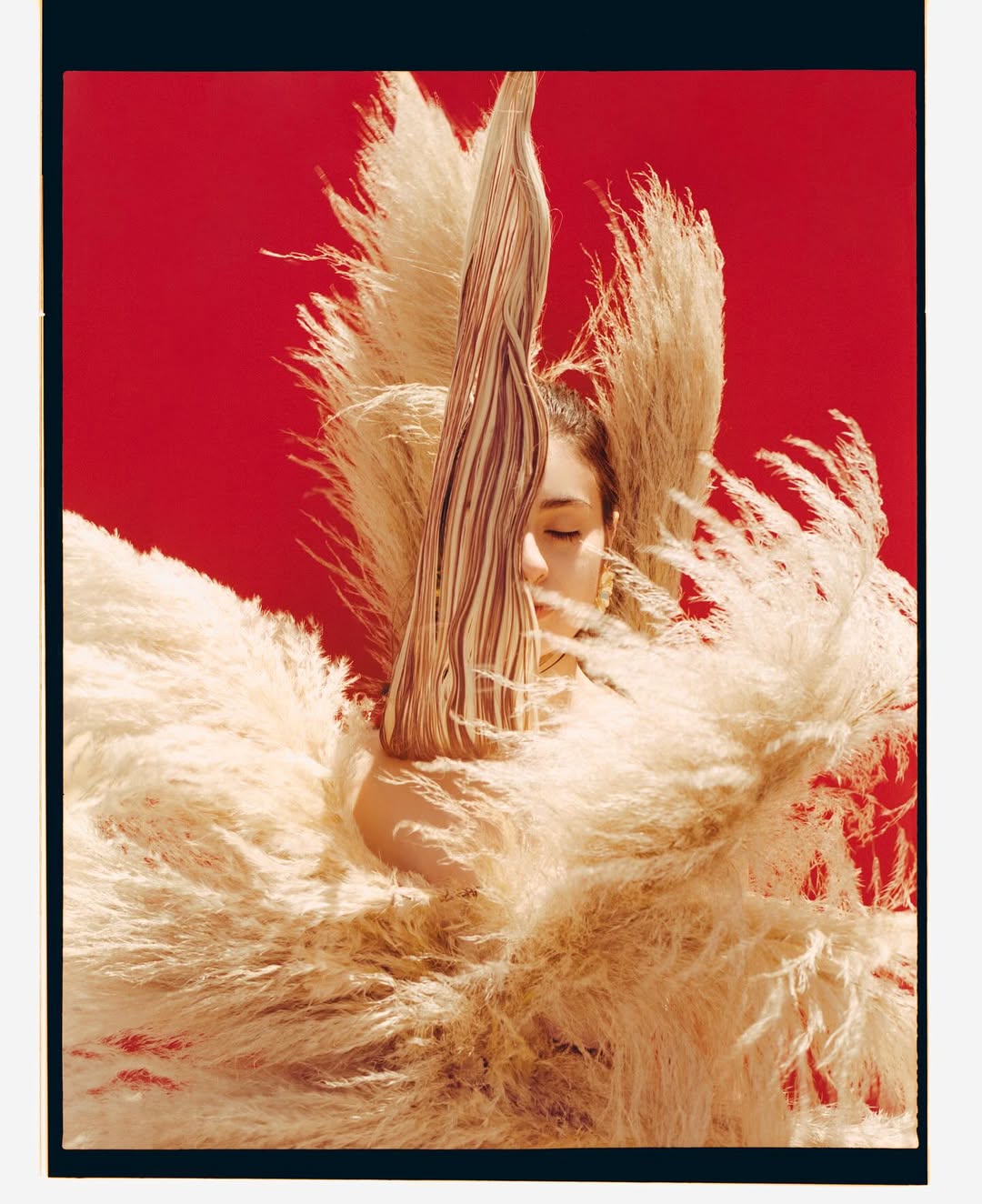 Shot over six months on medium-format (120) film, the book Animundi documents photographer @khristio’s emotional interpretation of the landscapes he’s lived with and returned to over the last decade. A introspection of presence and the quiet ways nature reminds us to feel alive. 

“Since I was very young, I grew up surrounded by nature, and one of the deepest gifts I received was learning to listen to it” Khristio shares. “Animundi —anima mundi, the soul of the world. It is an honest homage to the present, to the silent connection between human beings and nature, that wise and patient artist who has been my greatest inspiration throughout this journey. This book is a visual dialogue where both worlds converge. It is not just about looking, but about feeling. About allowing oneself to be transformed. Because creating from emotion and intuition is to attune to life itself, as if every texture, every shape sculpted by time, were part of a silent conversation between us and the earth.”