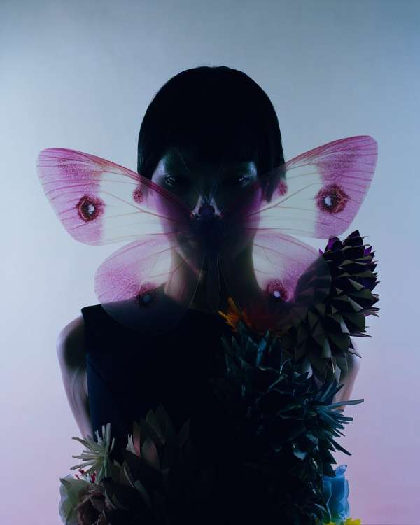 “Metamorphosis”, captured by photographer @...