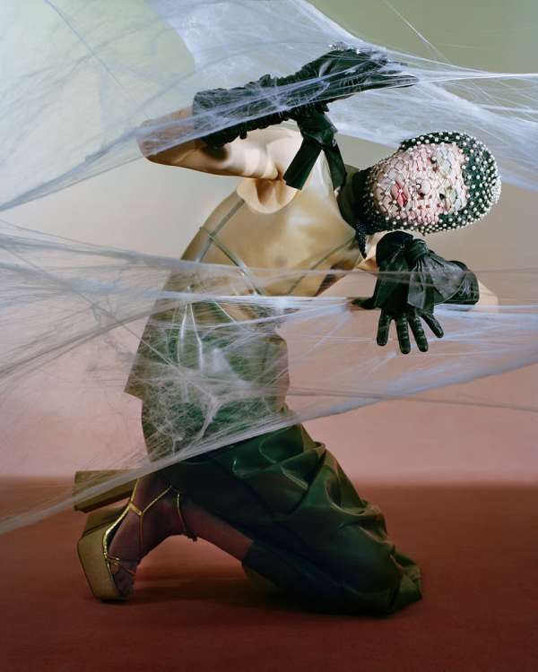 “Metamorphosis”, captured by photographer @...