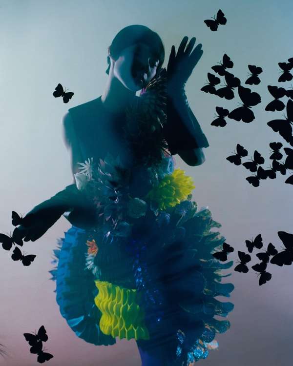 “Metamorphosis”, captured by photographer @...