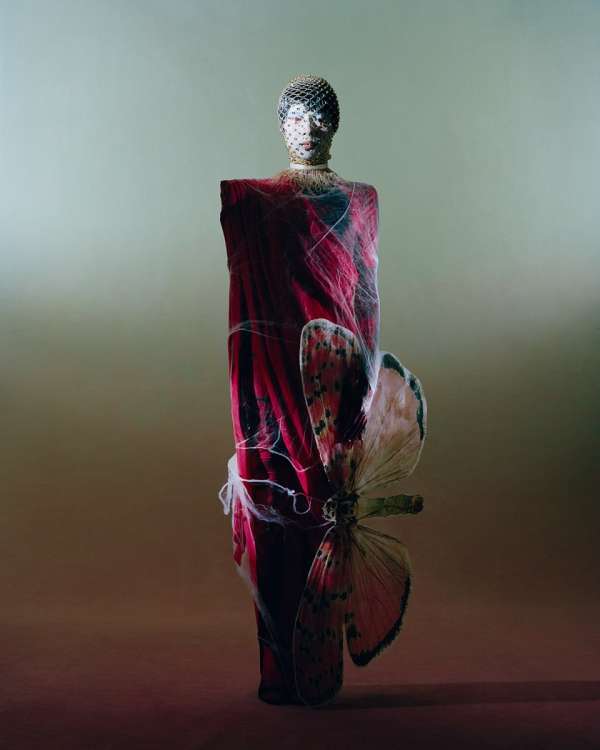 “Metamorphosis”, captured by photographer @...