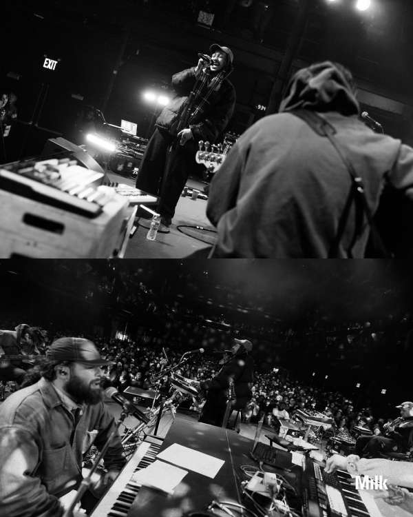 Artist Spotlight: From Pokémon Snap on a Ni...