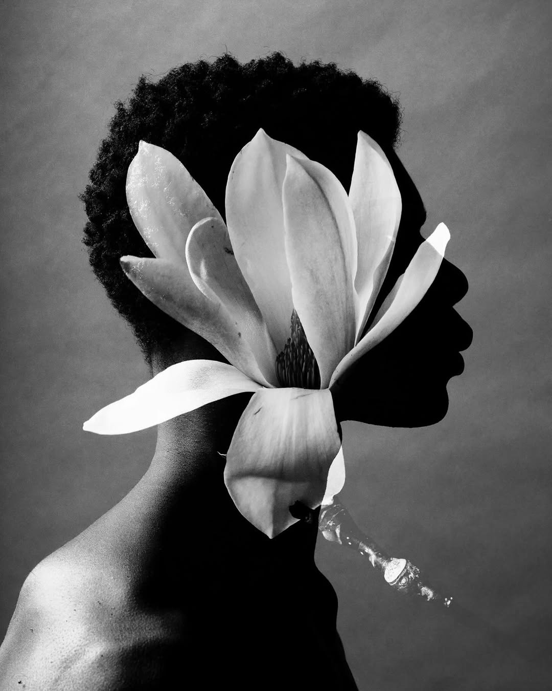 “A Floral Reflection,” captured by @otto.masters
“This series is a quiet meditation on beauty and fragility, using the floral form as a mirror for our own bodies and our evolving relationship with nature.”
Credits:
Photographer - Otto Masters @otto.masters
Floral Artist - Hamish Powell @hamispowell
Model - Lenny Kragba @lennykragba
