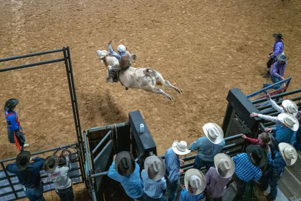 ‘Cotton Candy Cowboy,’ an ongoing project b...