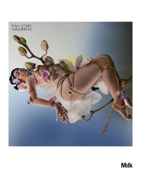 To encounter the work of Mat Maitland is to...