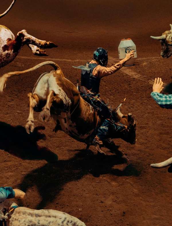 ‘My First Rodeo’, a project by Phoenix base...