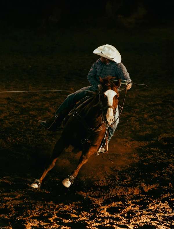 ‘My First Rodeo’, a project by Phoenix base...