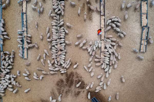 Through layered composition and precise tim...