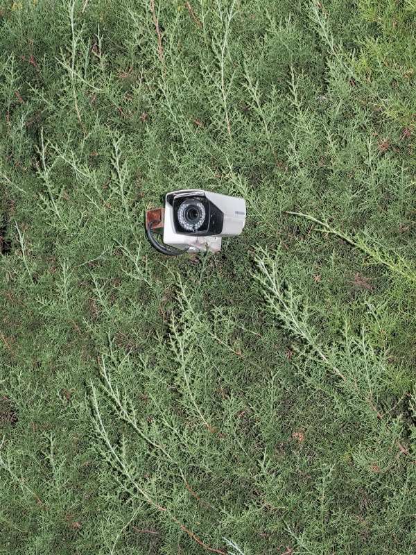 Pausing against the ordinary. By photograph...