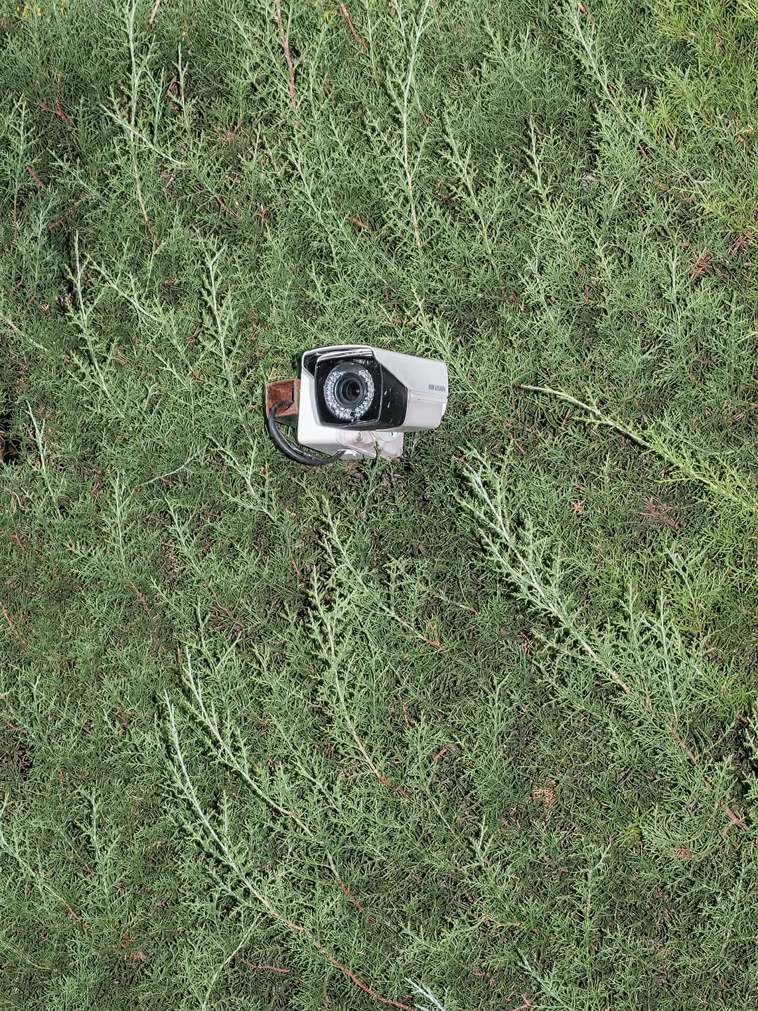 Pausing against the ordinary. By photographer, José De Rocco (@josederocco)

“This group of images is part of a much larger body of work connected to my photographic practice over the years, by now, nearly 20.

I have always been interested in the strangeness of the ordinary, of the everyday—how to escape routine through a sense of wonder that struggles to fade, and which, with the help of photography, I try to hold onto.”