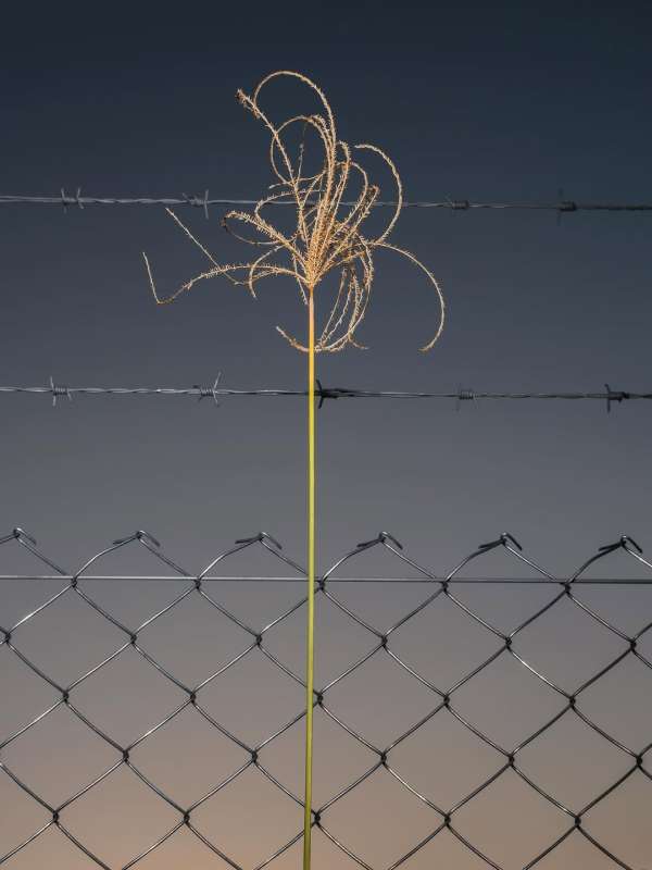 Pausing against the ordinary. By photograph...