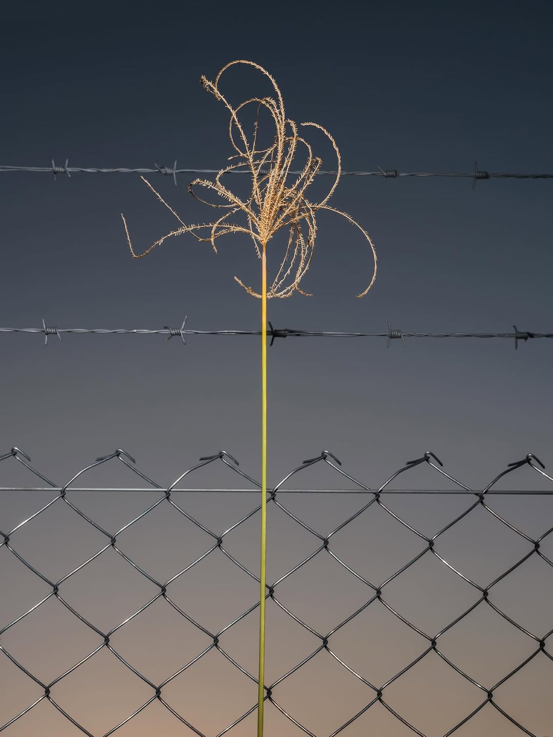 Pausing against the ordinary. By photographer, José De Rocco (@josederocco)

“This group of images is part of a much larger body of work connected to my photographic practice over the years, by now, nearly 20.

I have always been interested in the strangeness of the ordinary, of the everyday—how to escape routine through a sense of wonder that struggles to fade, and which, with the help of photography, I try to hold onto.”