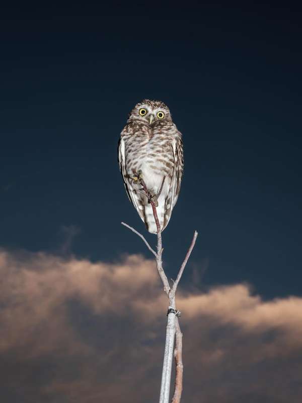 Pausing against the ordinary. By photograph...