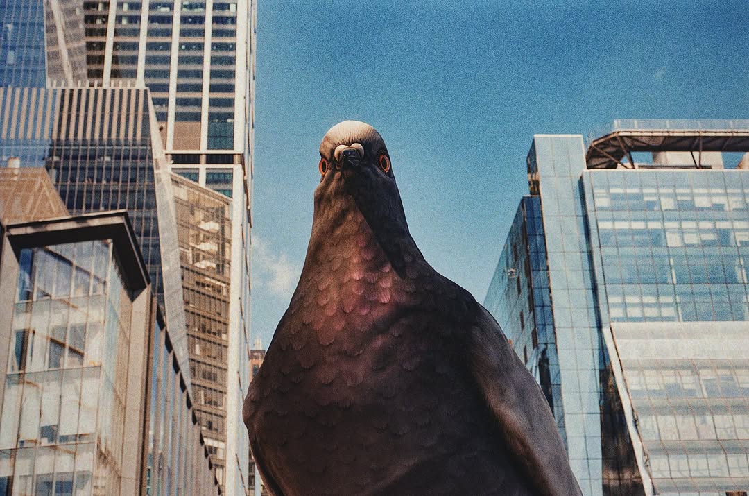 ‘Fly the Coop: New York Says Goodbye to Dinosaur...