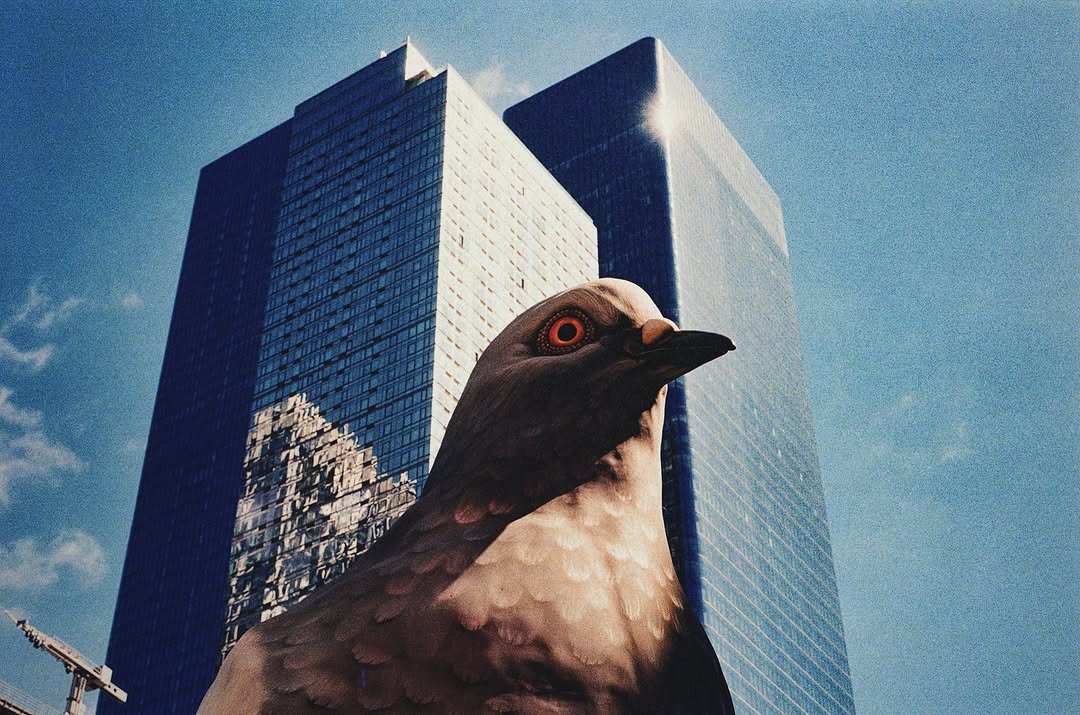 ‘Fly the Coop: New York Says Goodbye to Dinosaur...