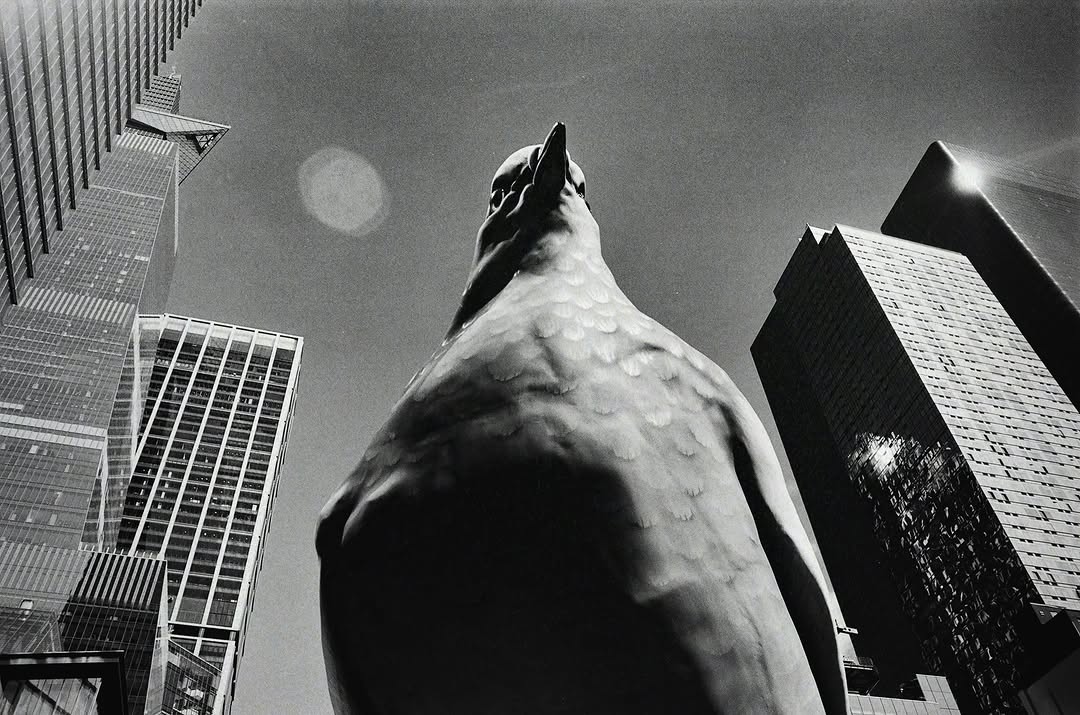 ‘Fly the Coop: New York Says Goodbye to Dinosaur...