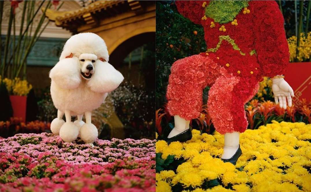 Noon Magazine |  Jun. 20